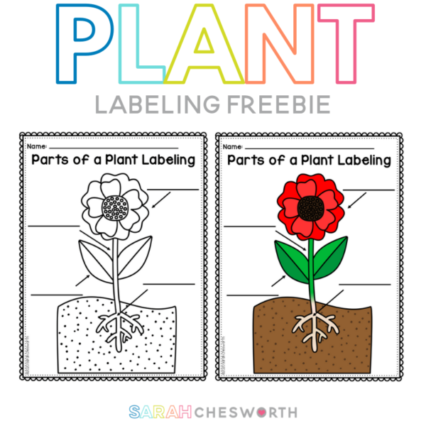 Free Preschool Printable Activities - Sarah Chesworth
