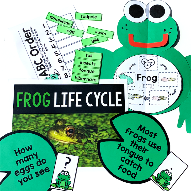FROG CLASSROOM LEARNING GAME SET  VARIOUS LEVELS SEE DESCRIPTION 