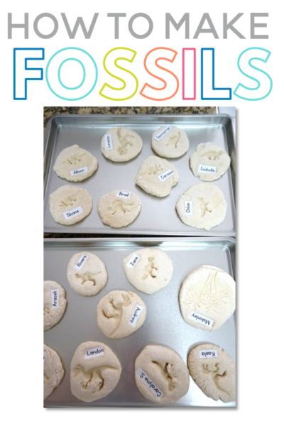 How to Make Fossils - Sarah Chesworth