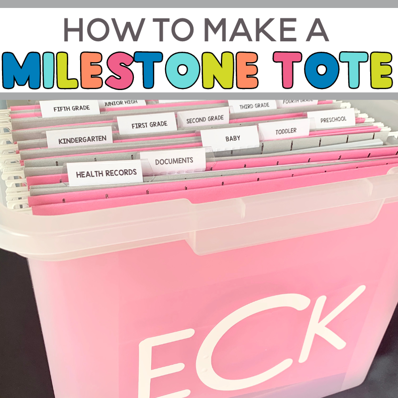 How to Make a Milestone Tote in a Nap Time or Less