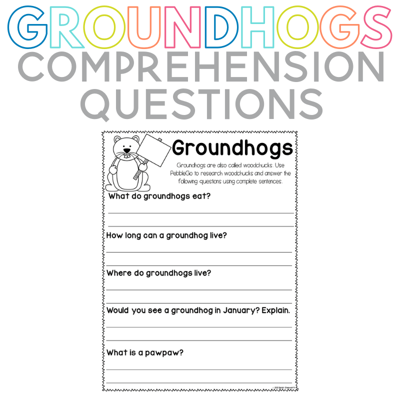 Groundhogs Day Comprehension Questions Worksheet