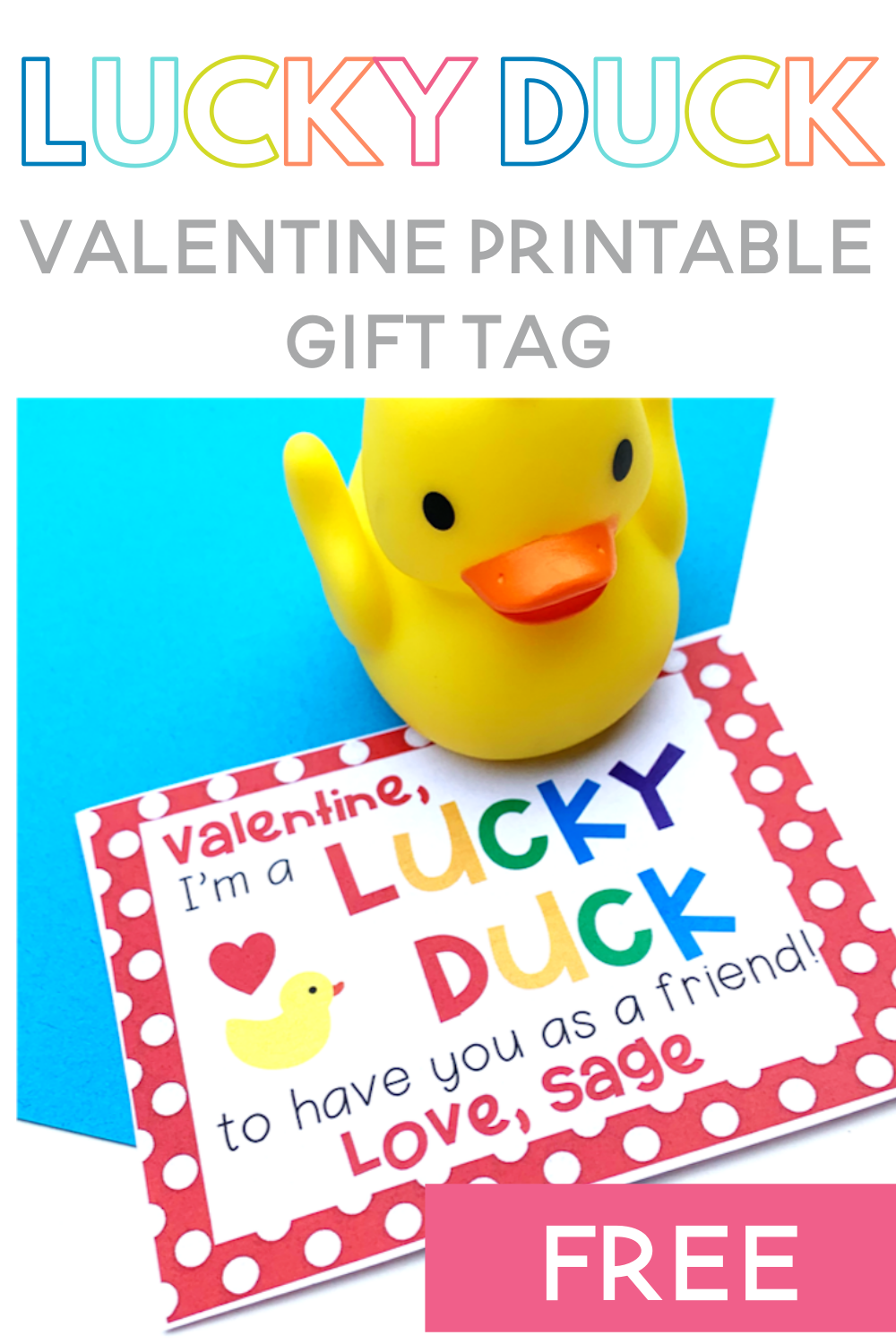 Lucky Duck Valentine Sarah Chesworth