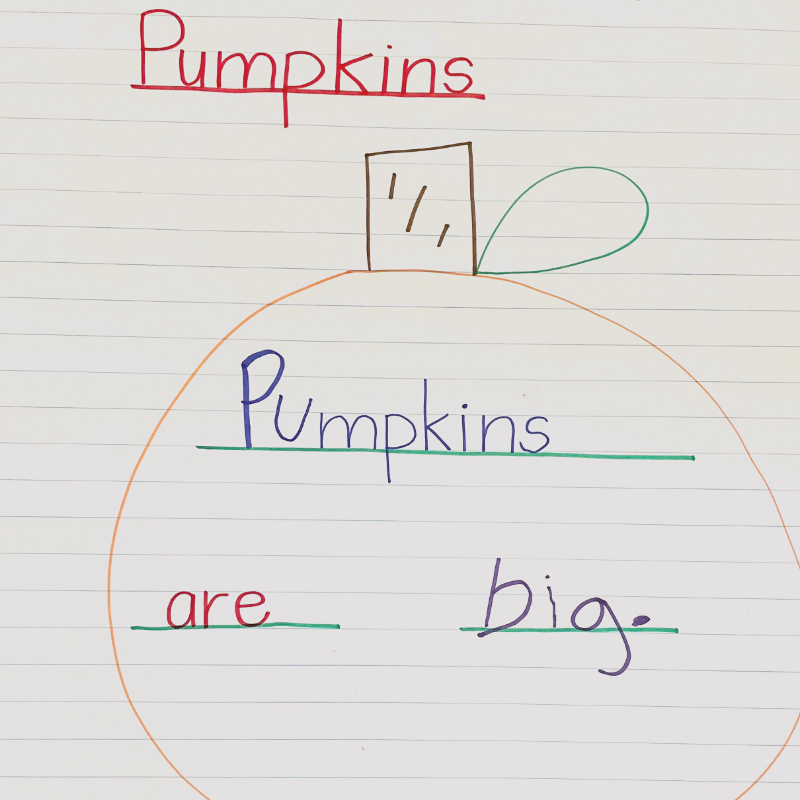 It can be overwhelming to think about starting writing workshop with preschool students, but this post will give you some ideas to make it easy. One idea for your writing workshop time is to introduce writing journals and prompts. This post will show you how to plan your writing time and how to set up writing journals, preschool writing journal prompt ideas and ideas for your writing lessons in preschool and kindergarten.