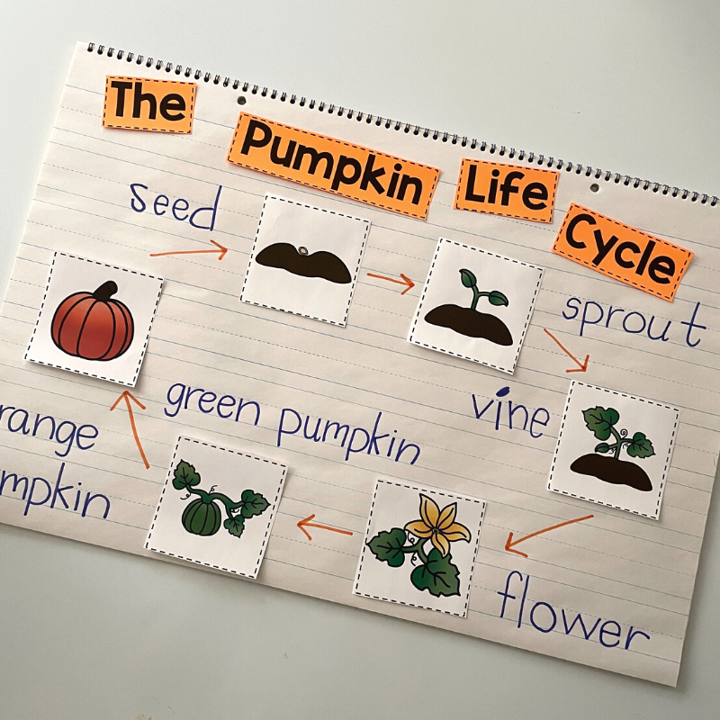 Sequence Anchor Chart For Kindergarten