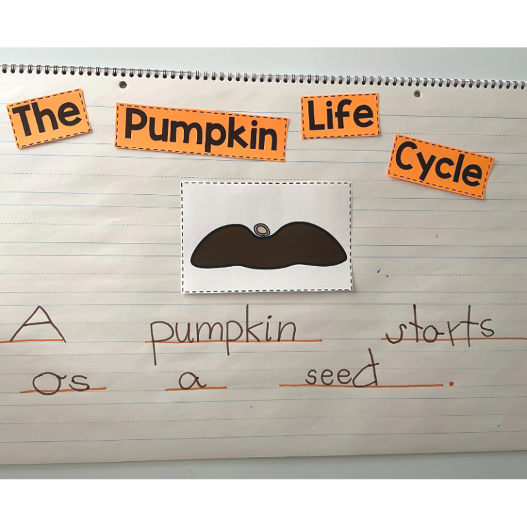 Life Cycle of a Pumpkin Learning Activities - Sarah Chesworth