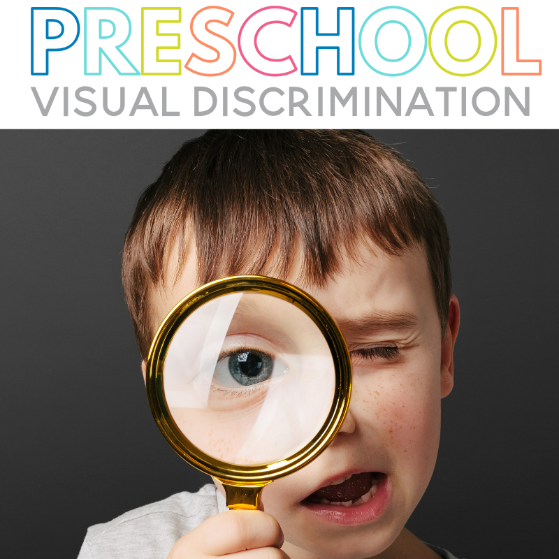 What Is Visual Discrimination Problem