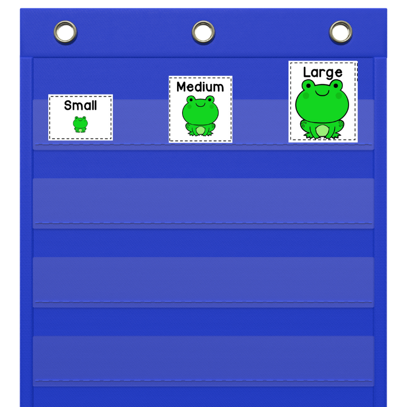 frog size sorting