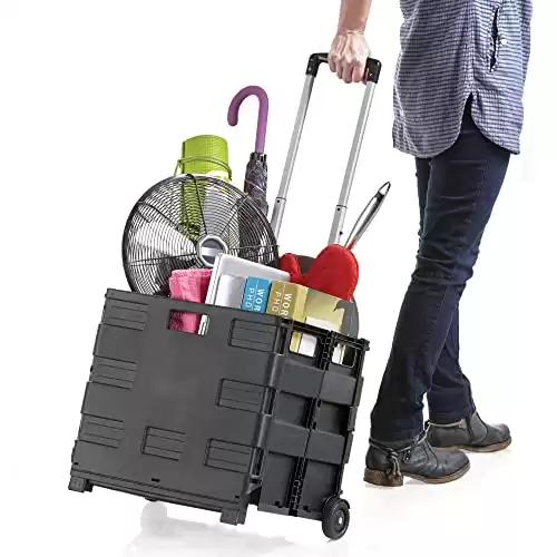 Ultra-Slim Rolling Collapsible Storage Pack-N-Roll Utility-carts, with Telescopic Handle, Medium, Black