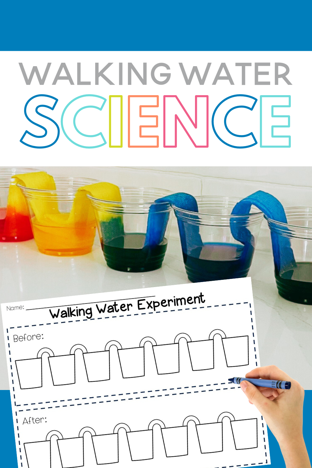 water experiment cognitive development