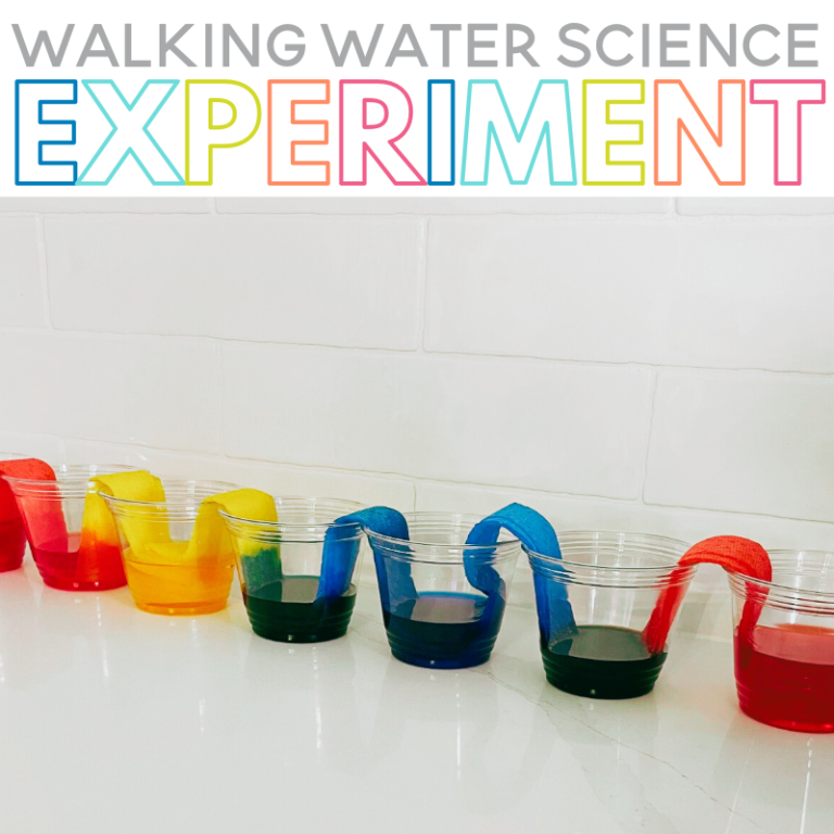 Walking Water Experiment for Kids - Sarah Chesworth