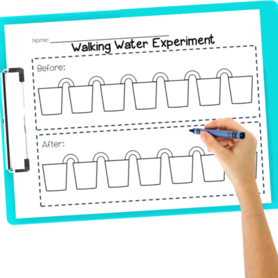 Walking Water Experiment for Kids - Sarah Chesworth