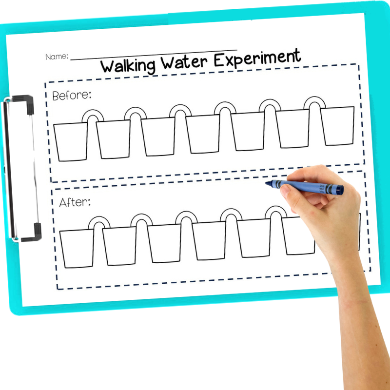 walking-water-science-experiment-worksheet