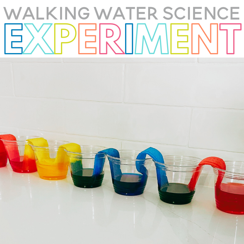 Walking Water Experiment for Kids
